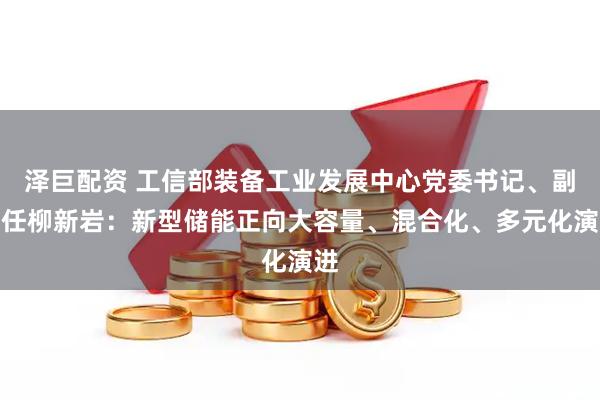 泽巨配资 工信部装备工业发展中心党委书记、副主任柳新岩：新型储能正向大容量、混合化、多元化演进