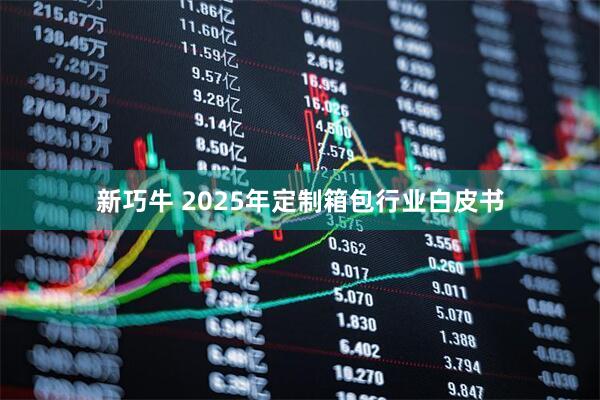 新巧牛 2025年定制箱包行业白皮书