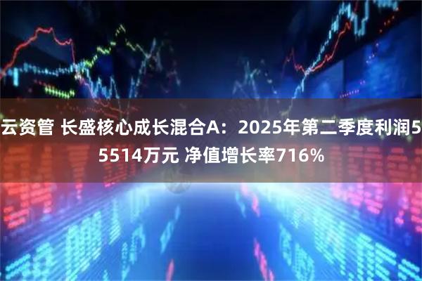 云资管 长盛核心成长混合A：2025年第二季度利润55514万元 净值增长率716%